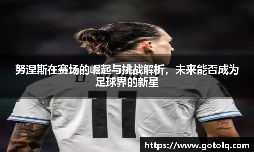 努涅斯在赛场的崛起与挑战解析，未来能否成为足球界的新星